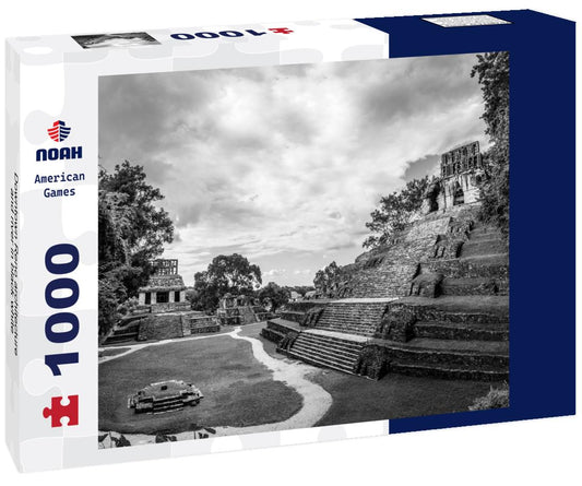 Noah Jigsaw Puzzle Downtown Reno architecture and river in black white 1000 pieces