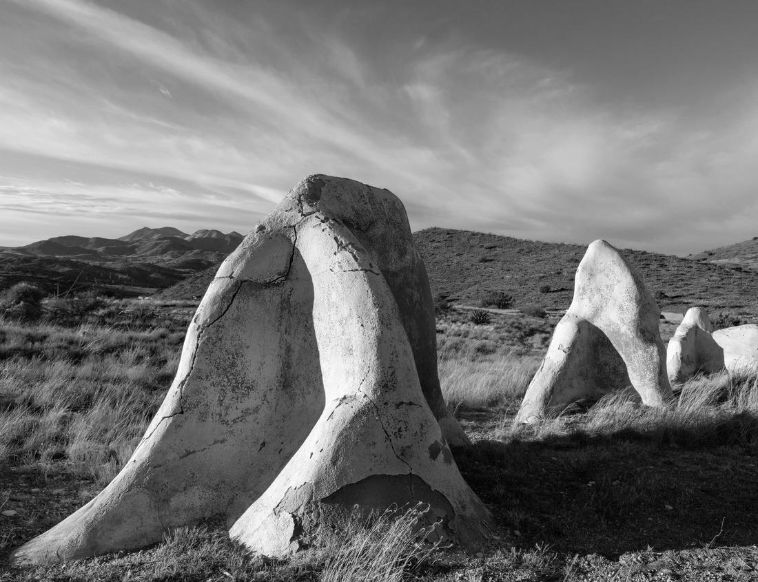 Noah Jigsaw Puzzle Metropolitan Skyline of downtown Birmingham, Alabama, USA in black white 1000 pieces