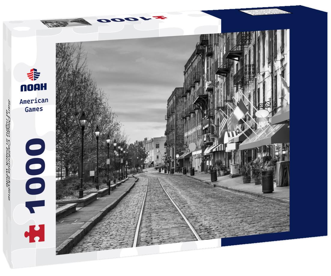 Noah Jigsaw Puzzle San Diego California skyline at night in black white 1000 pieces
