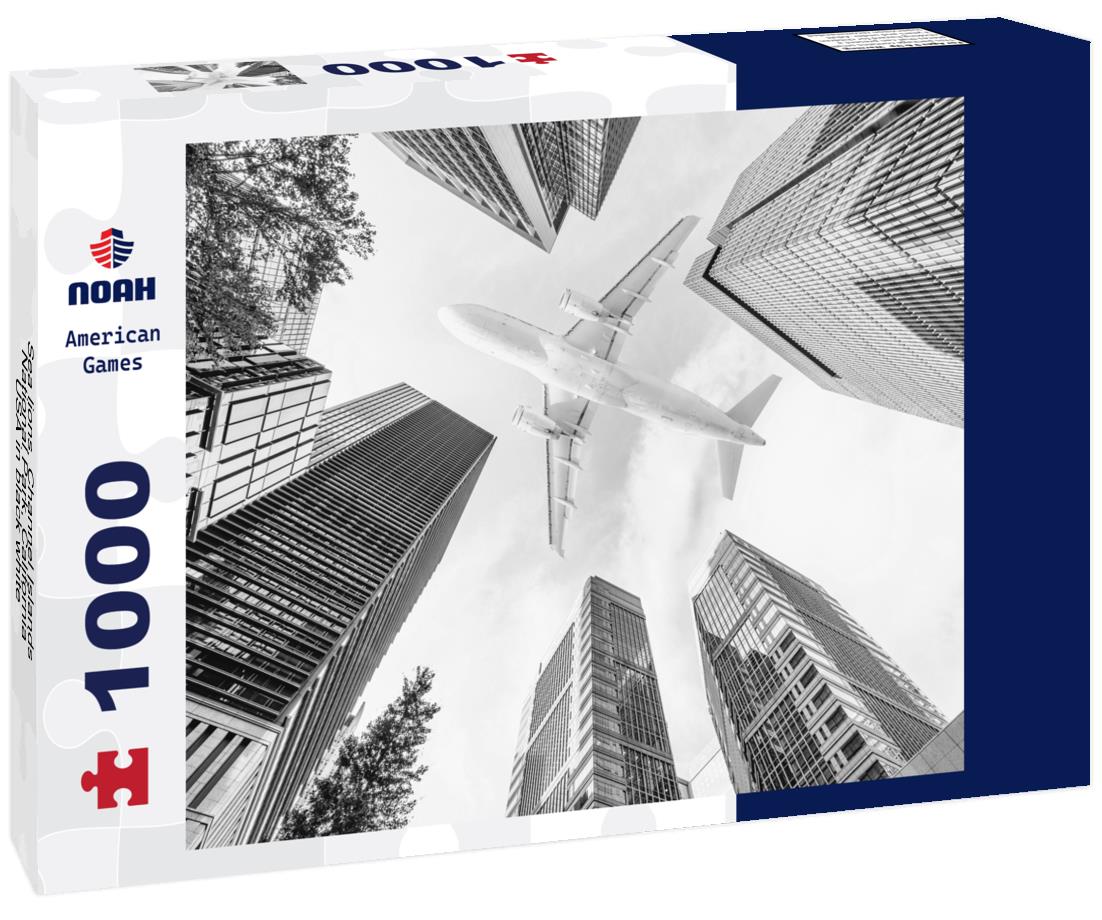 Noah Jigsaw Puzzle Sea lions, Channel Islands National Park, California, USA in black white 1000 pieces