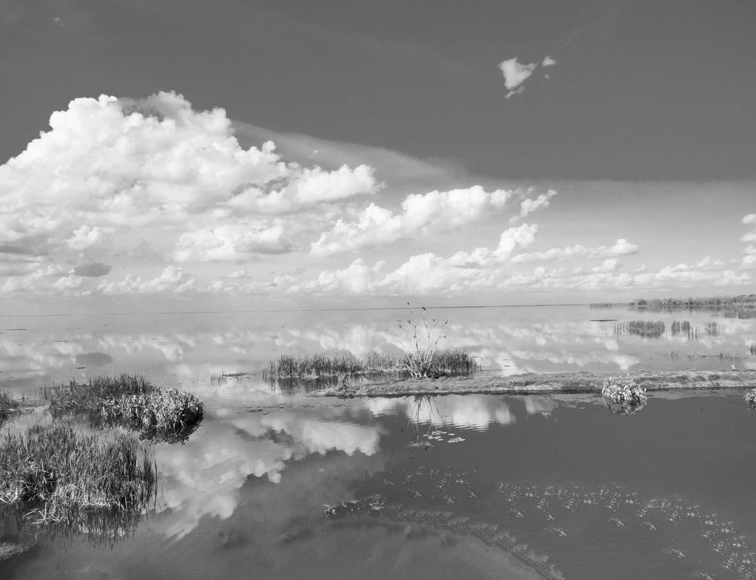 Noah Jigsaw Puzzle Indianapolis. Image of downtown Indianapolis, Indiana in autumn in black white 1000 pieces