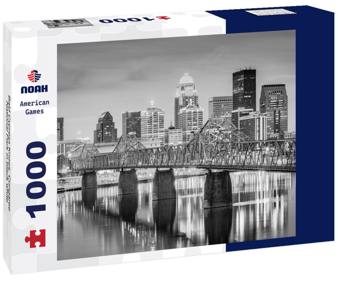 Noah Jigsaw Puzzle Bald Cypress Knees, Congaree National Park in black white 1000 pieces