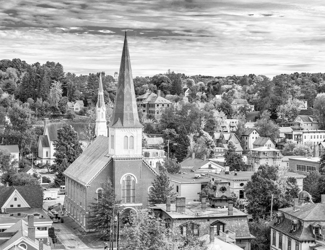 Noah Jigsaw Puzzle Beautiful Ice House Reservoir, California in black white 1000 pieces