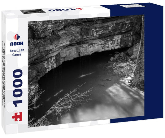 Noah Jigsaw Puzzle Buffalo is the second most populous city in the state of New York, behind New York City in black white 1000 pieces
