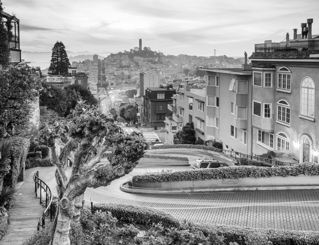 Noah Jigsaw Puzzle St Joseph Oratory, Montreal in black white 1000 pieces