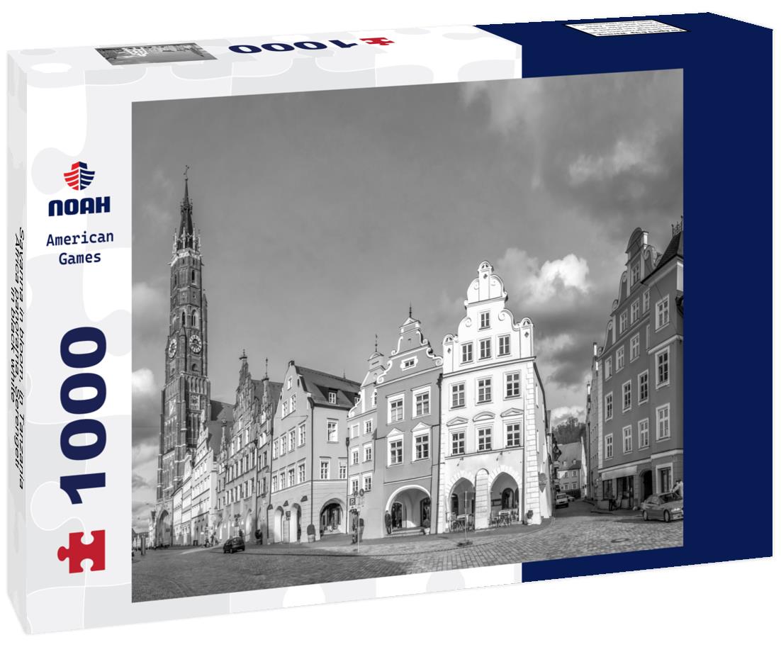 Noah Jigsaw Puzzle Savanna in bloom, in Tanzania, Africa panorama. Serengeti in black white 1000 pieces