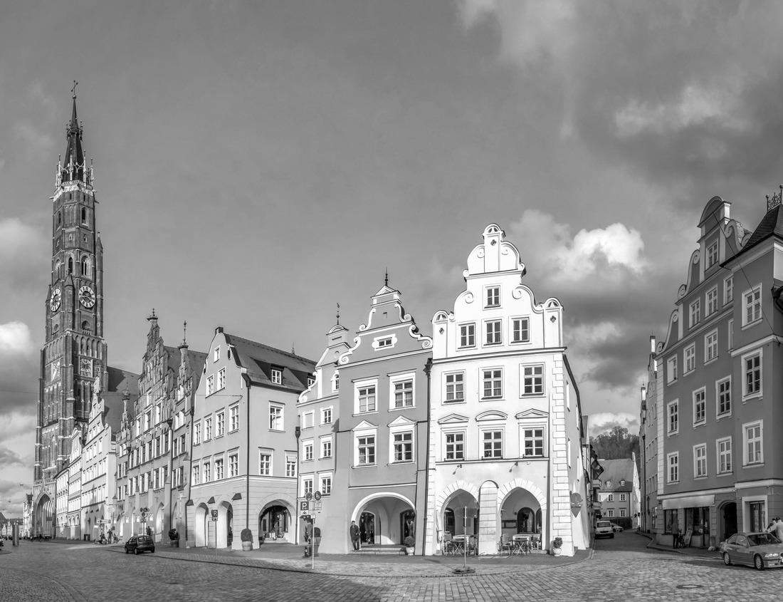 Noah Jigsaw Puzzle Savanna in bloom, in Tanzania, Africa panorama. Serengeti in black white 1000 pieces