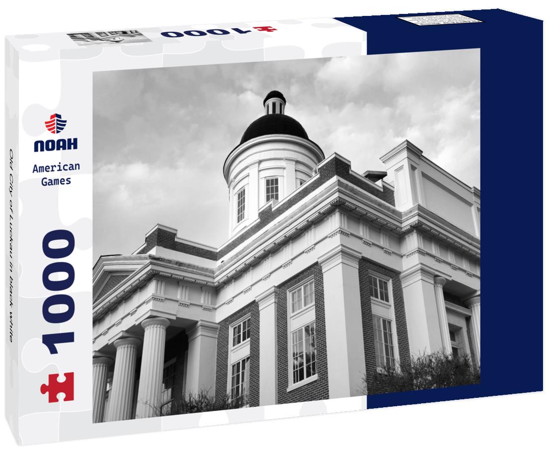 Noah Jigsaw Puzzle Old City of Luckau in black white 1000 pieces