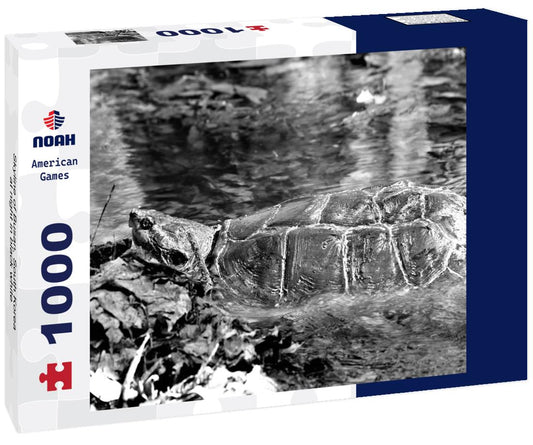 Noah Jigsaw Puzzle Skyline of Busan, South Korea at night in black white 1000 pieces