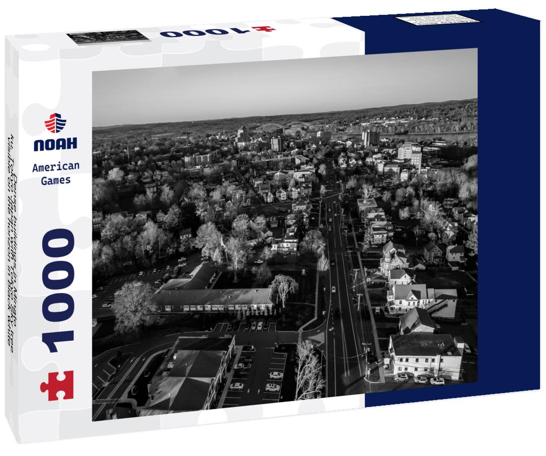 Noah Jigsaw Puzzle Dense buildings in Minato-ku, Tokyo Japan with Tokyo Sky tree visible on the horizon in black white 1000 pieces