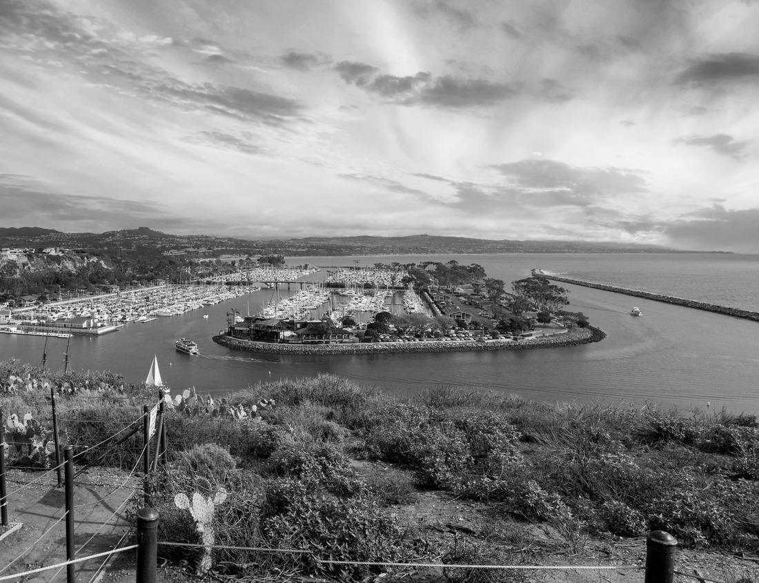 Noah Jigsaw Puzzle Road leading to the State Capitol of Alabama, Montgomery, Alabama in black white 1000 pieces