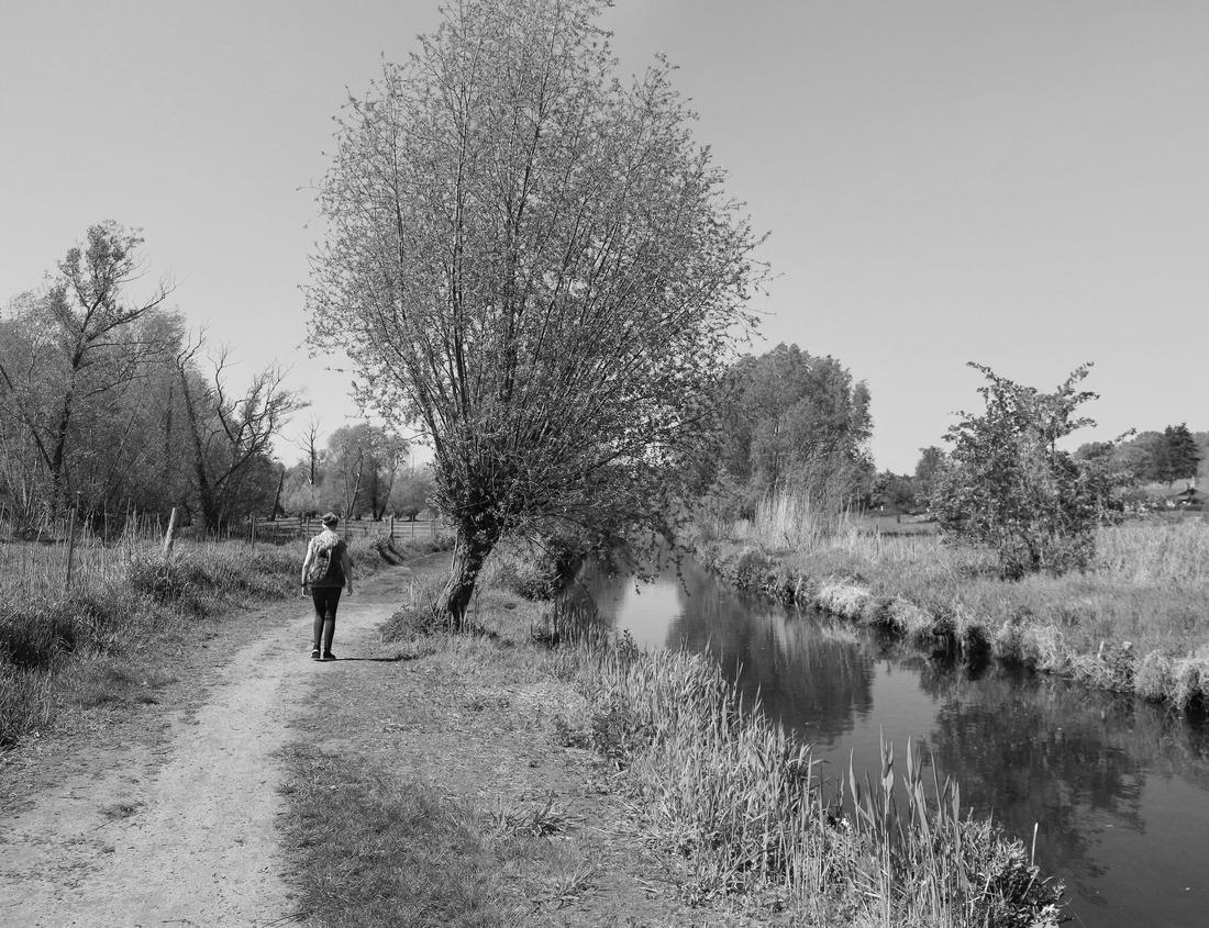 Noah Jigsaw Puzzle Wolfhagen is a North Hessian town with historic truss core in the district of Kassel (Germany) in black white 1000 pieces