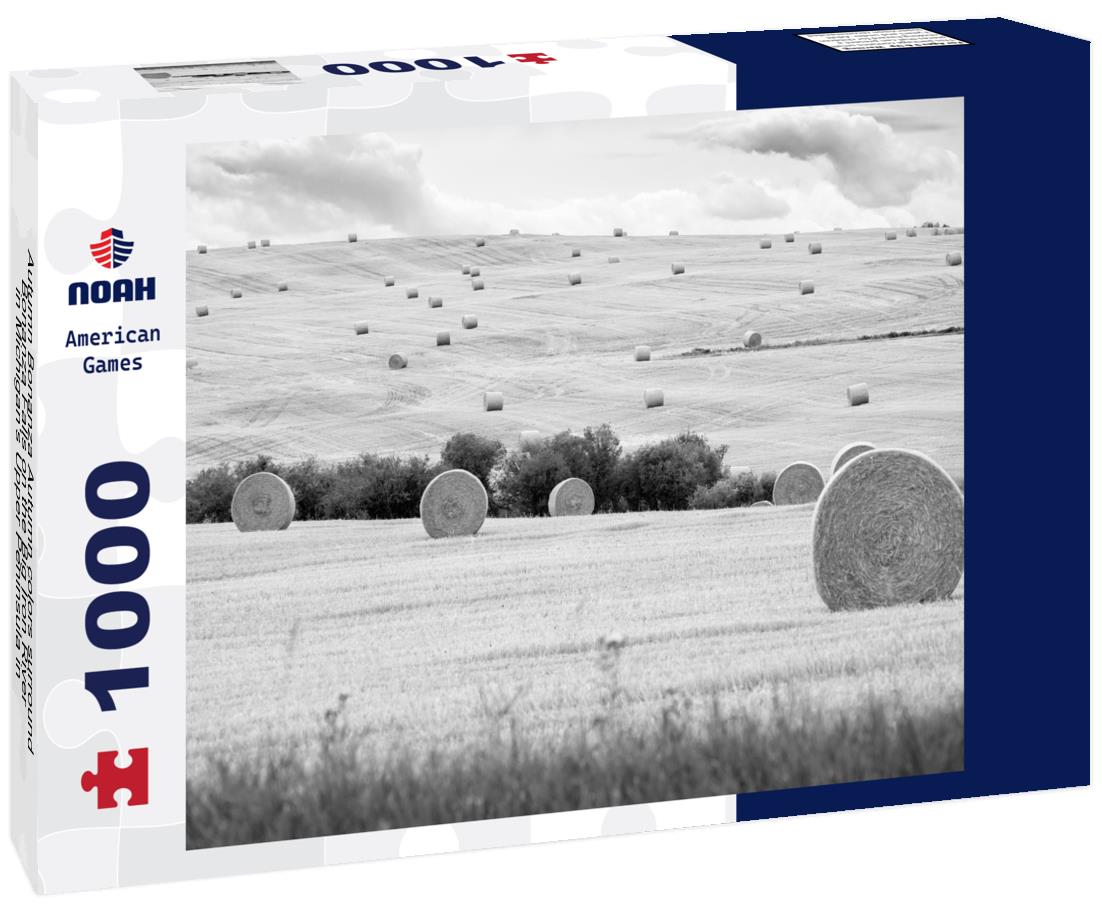 Noah Jigsaw Puzzle Autumn Bonanza Autumn colors surround Bonanza Falls on the Big Iron River in Michigan's Upper Peninsula in black white 1000 pieces