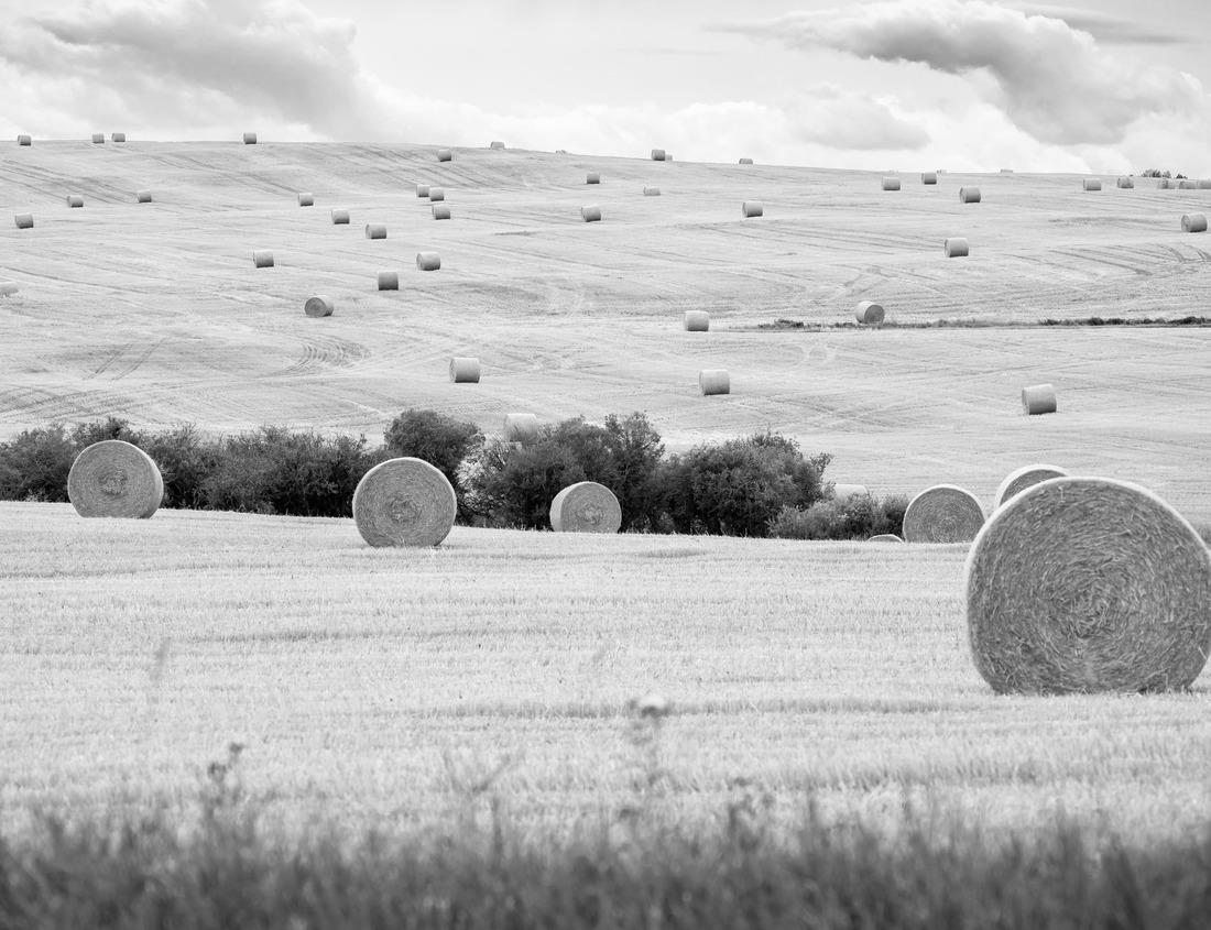 Noah Jigsaw Puzzle Autumn Bonanza Autumn colors surround Bonanza Falls on the Big Iron River in Michigan's Upper Peninsula in black white 1000 pieces