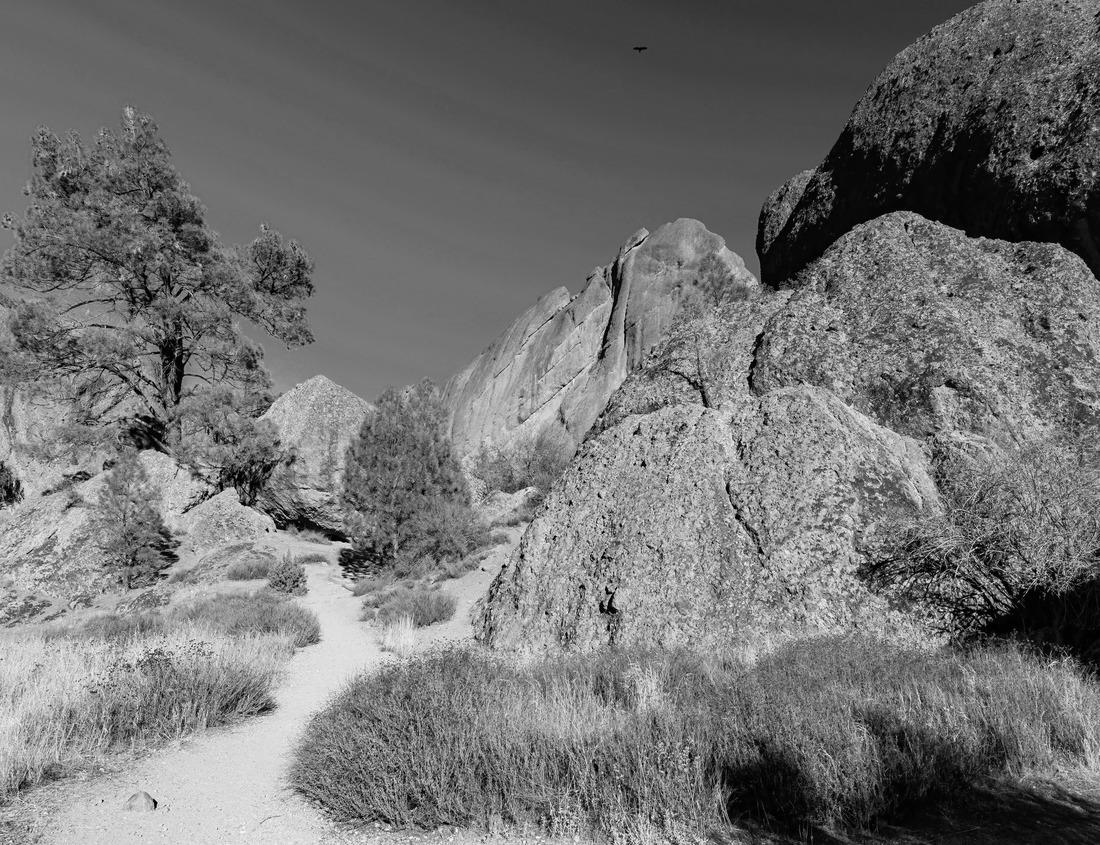 Noah Jigsaw Puzzle Montreal across the river at sunset with city lamps and urban buildings in black white 1000 pieces