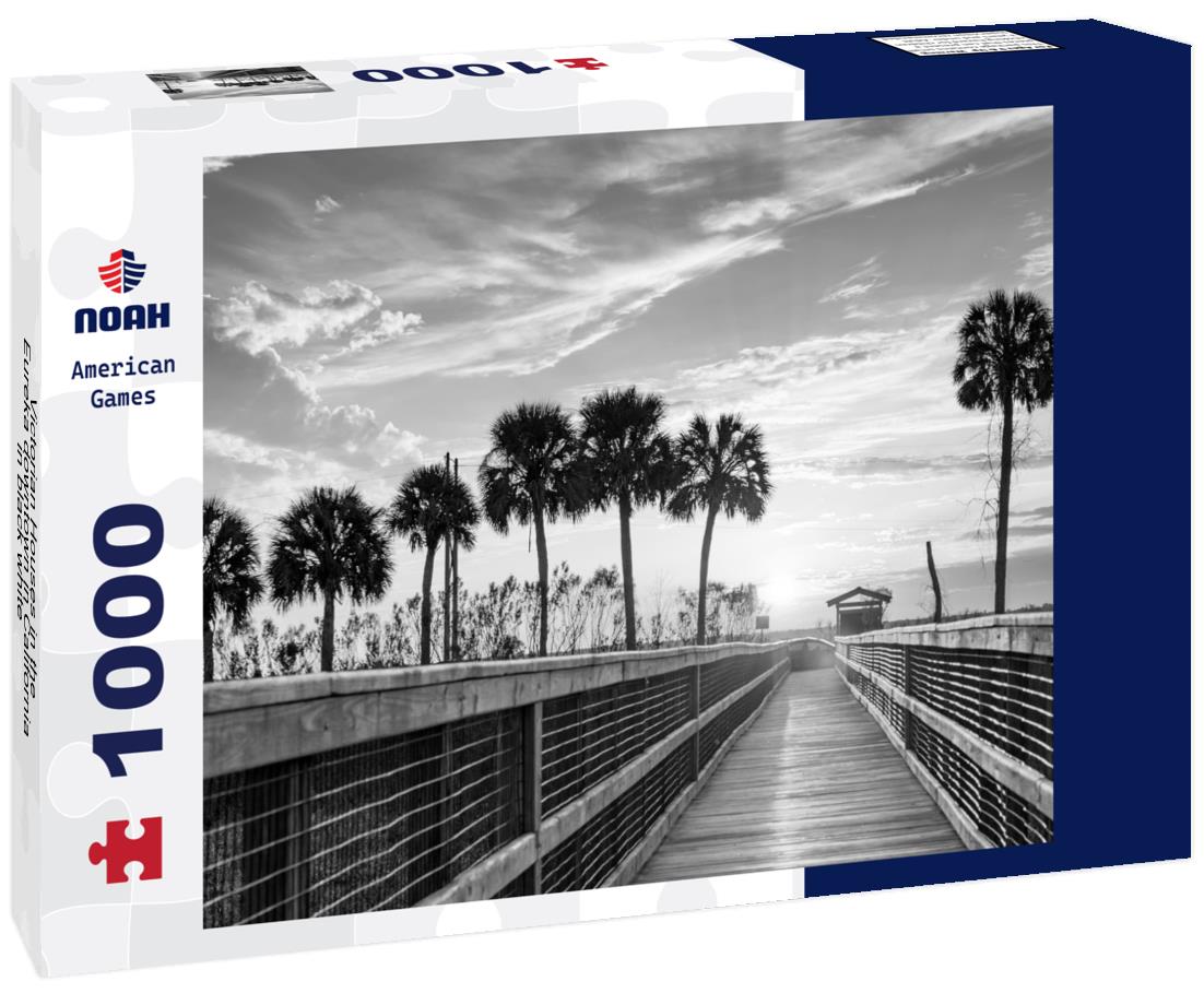 Noah Jigsaw Puzzle Victorian Houses in the Eureka downtown in California in black white 1000 pieces