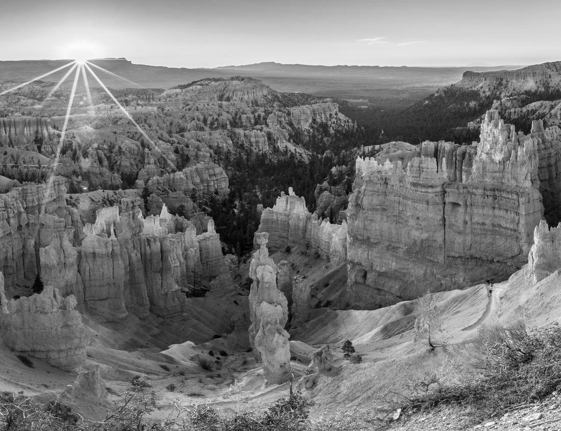 Noah Jigsaw Puzzle Historical town of New Castle, Delaware in black white 1000 pieces