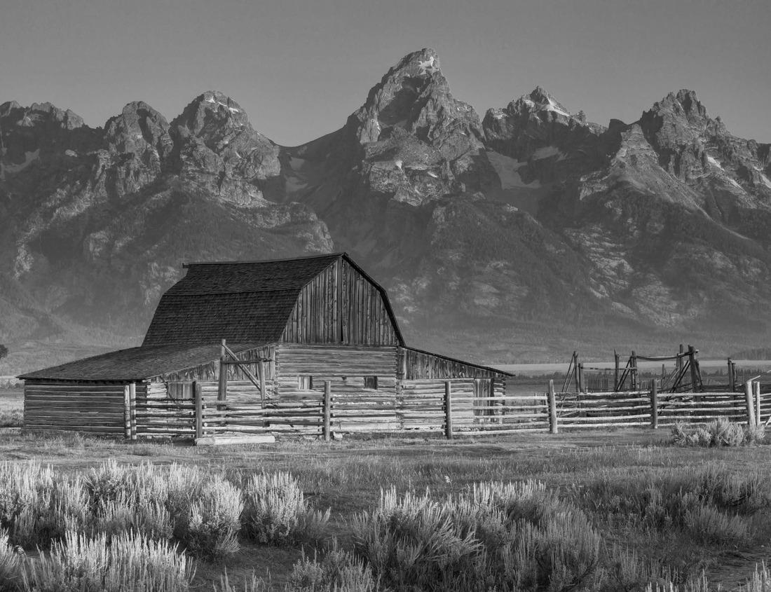 Noah Jigsaw Puzzle Kansas City skyline from Crown Center, MO in black white 1000 pieces