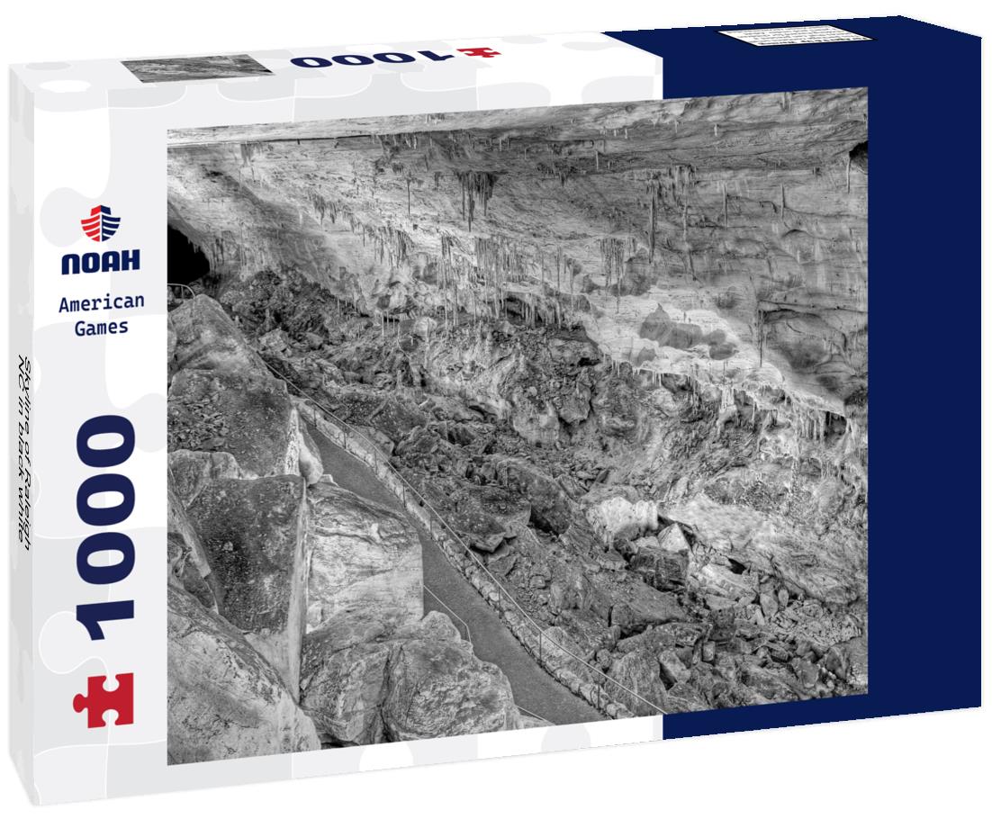 Noah Jigsaw Puzzle Skyline of Raleigh, NC in black white 1000 pieces