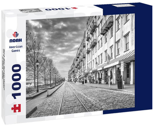 Noah Jigsaw Puzzle Back Bay Boston skyline on a summer afternoon in black white 1000 pieces