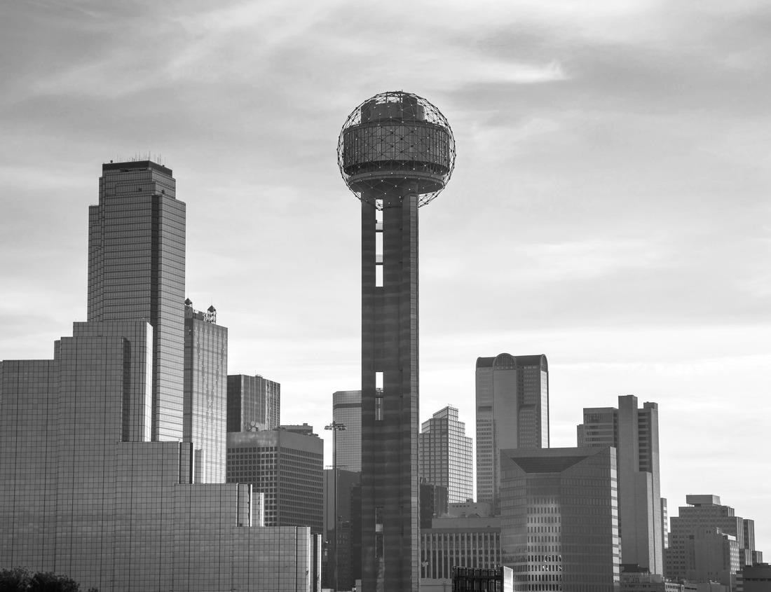 Noah Jigsaw Puzzle Dallas, TX skyline at night in black white 1000 pieces