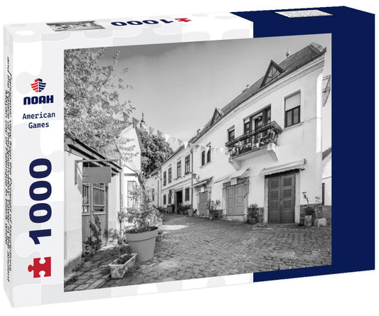 Noah Jigsaw Puzzle Panoramic view from the Pyramid of Inscriptions and the Palace of theObservatory Tower in the ancient Mayan city of Palenque in black white 1000 pieces