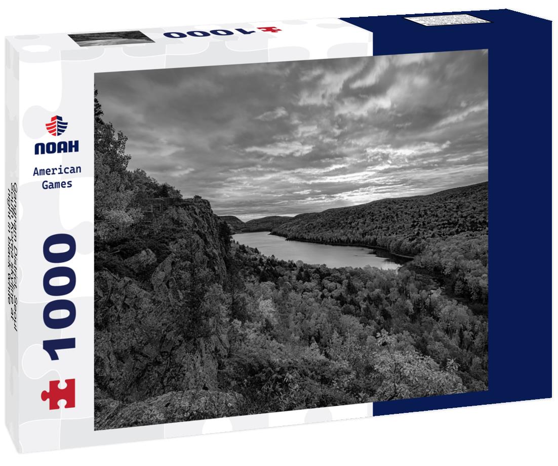 Noah Jigsaw Puzzle Gangnam District, Seoul, South Korea skyline at night in black white 1000 pieces