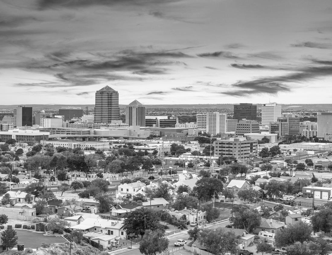 Noah Jigsaw Puzzle Historic Morgan County Courthouse in Madison, Georgia in black white 1000 pieces