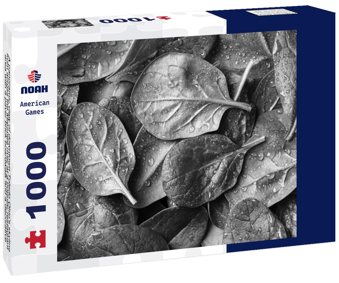 Noah Jigsaw Puzzle A panoramic view of downtown Toledo Ohio's skyline from across the Maumee river at a popular restaurant area with a paver brick boardwalk and a decorative iron railing in black white 1000 pieces