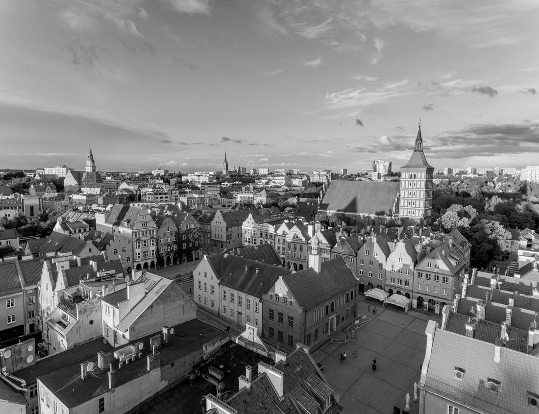 Noah Jigsaw Puzzle Salt Lake City Panorama and Capital Building. Salt Lake City, Utah in black white 1000 pieces