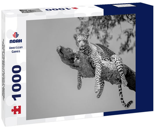 Noah Jigsaw Puzzle Subterranean columns in spring-fed pool, Carlsbad Caverns National Park, New Mexico in black white 1000 pieces