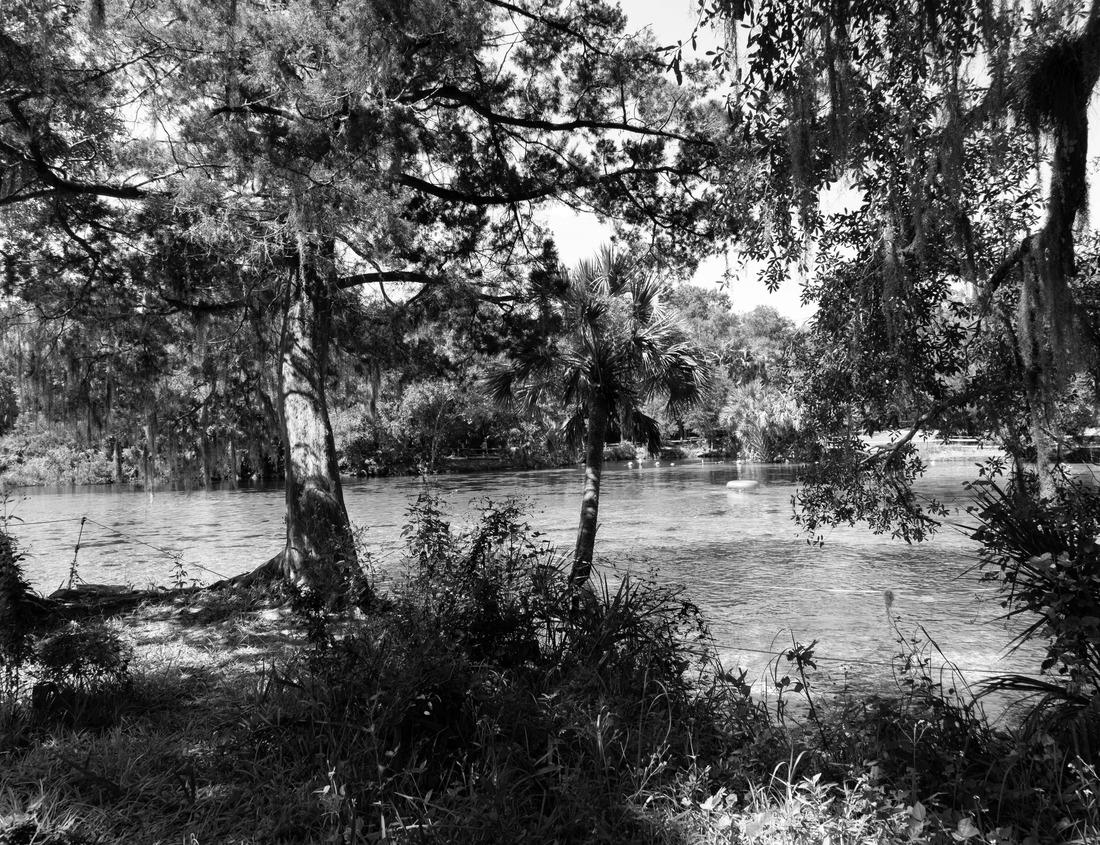 Noah Jigsaw Puzzle Sunrise on a Cornish fishing village, Polperro, England in black white 1000 pieces