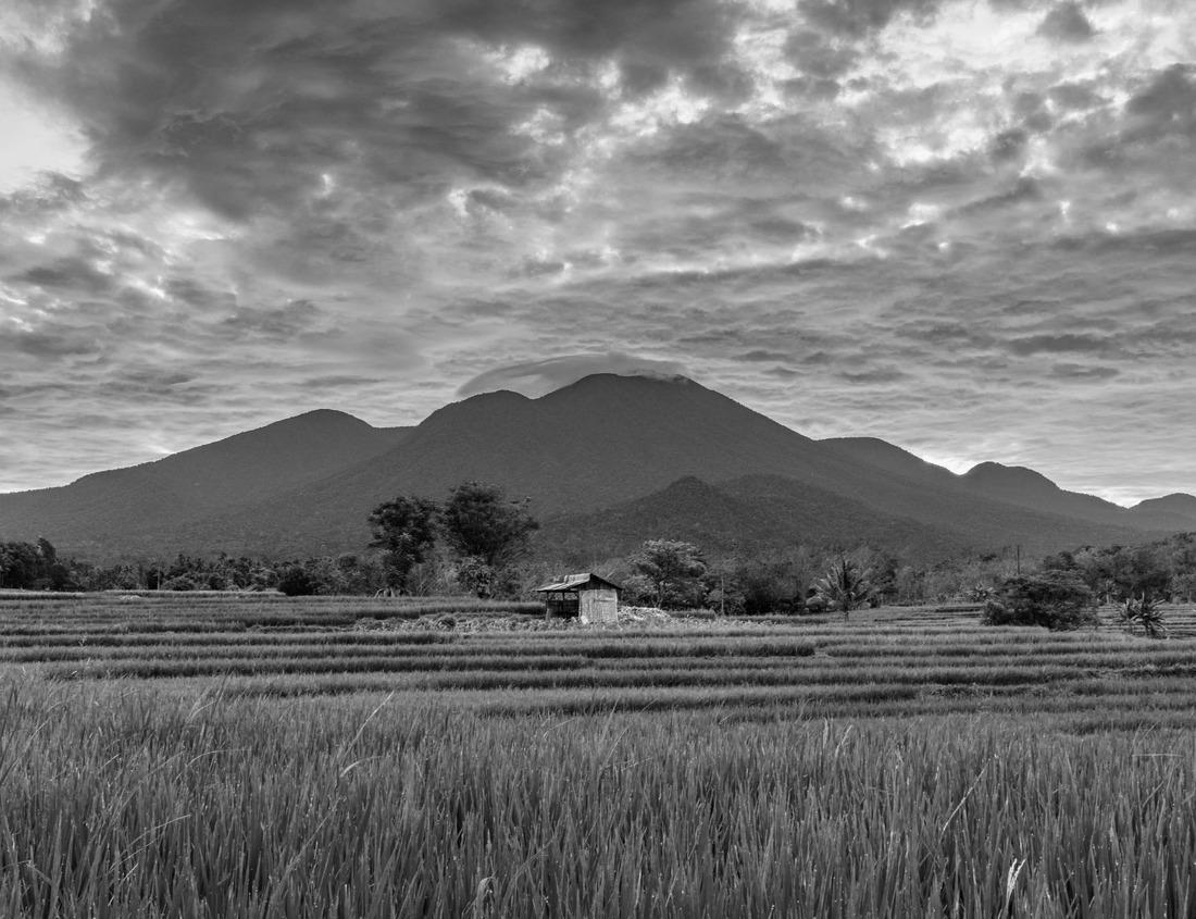 Noah Jigsaw Puzzle Waterfront lake house exterior. Lake Meridian, Kent. Washington State. USA in black white 1000 pieces