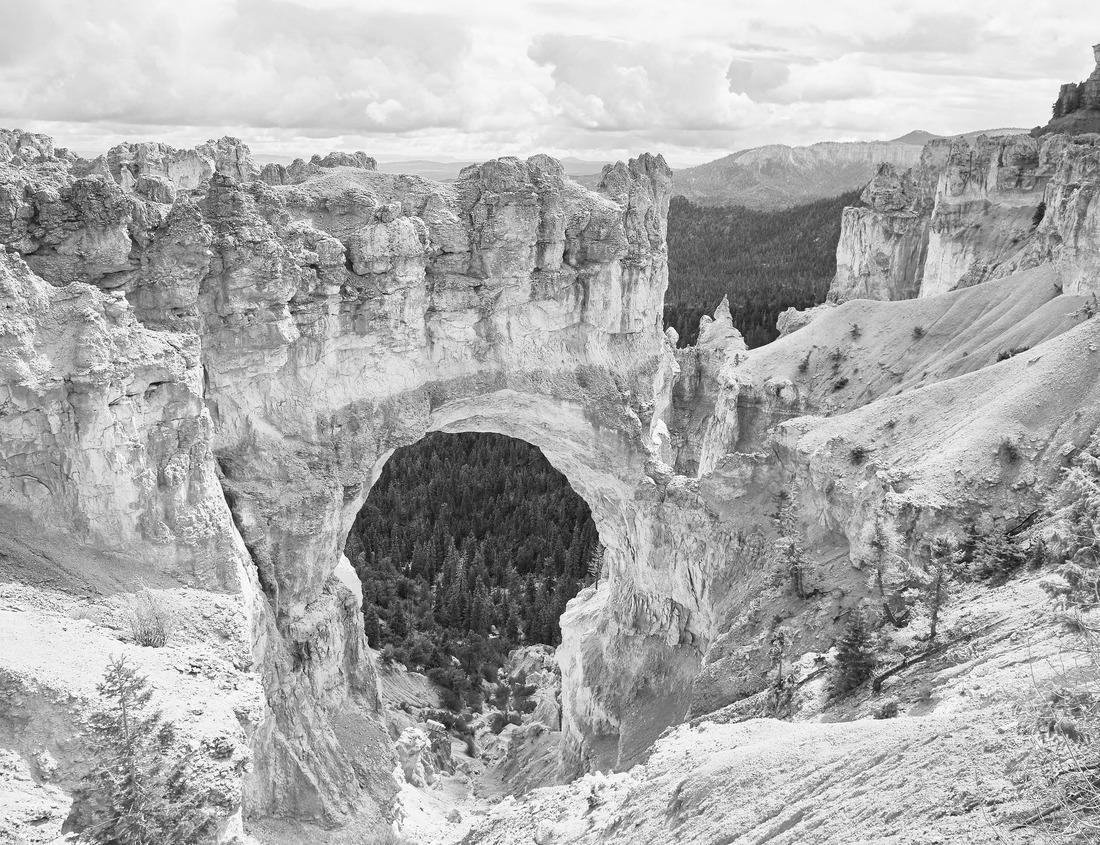 Noah Jigsaw Puzzle Neuschwanstein Castle in Germany in black white 1000 pieces