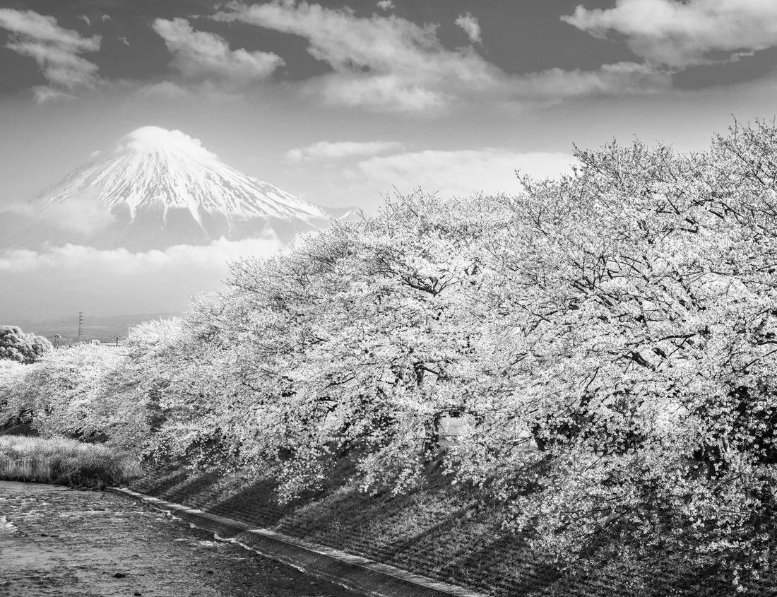 Noah Jigsaw Puzzle Yamadera Mountain Temple in Yamagata, Japan in black white 1000 pieces