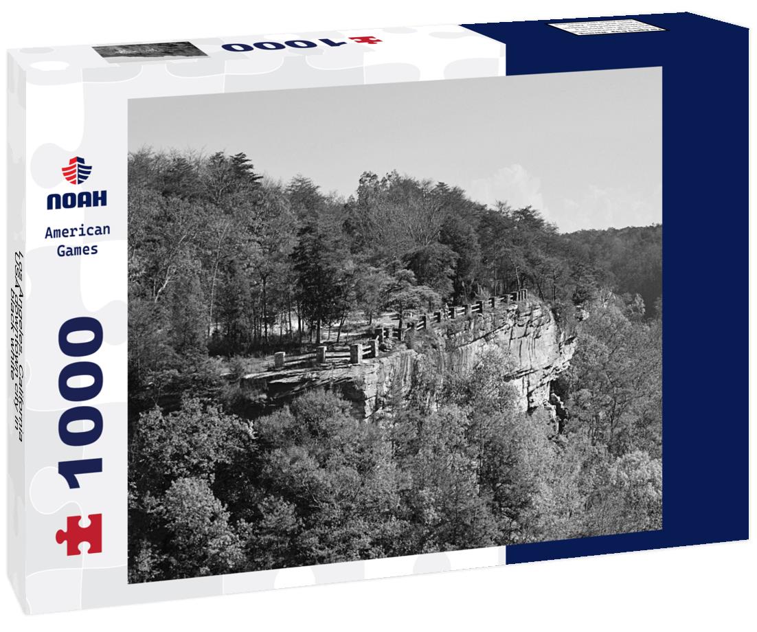 Noah Jigsaw Puzzle Los Angeles, California, USA downtown city in black white 1000 pieces