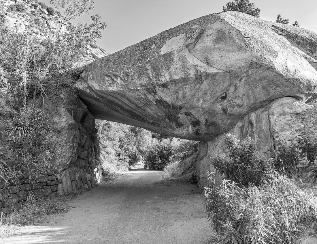Noah Jigsaw Puzzle Frankfurt, Germany financial district skyline in black white 1000 pieces