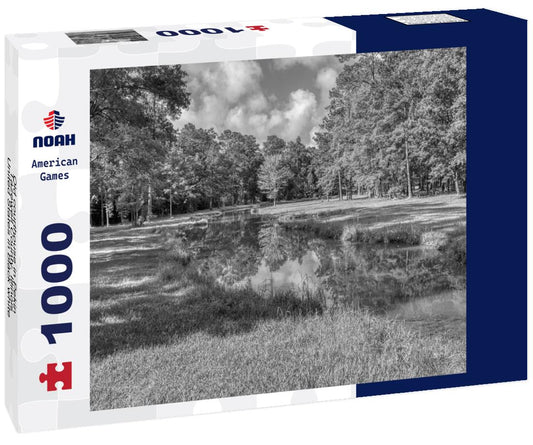 Noah Jigsaw Puzzle Old courthouse in Pekin, Tazewell County, Illinois, United States in black white 1000 pieces