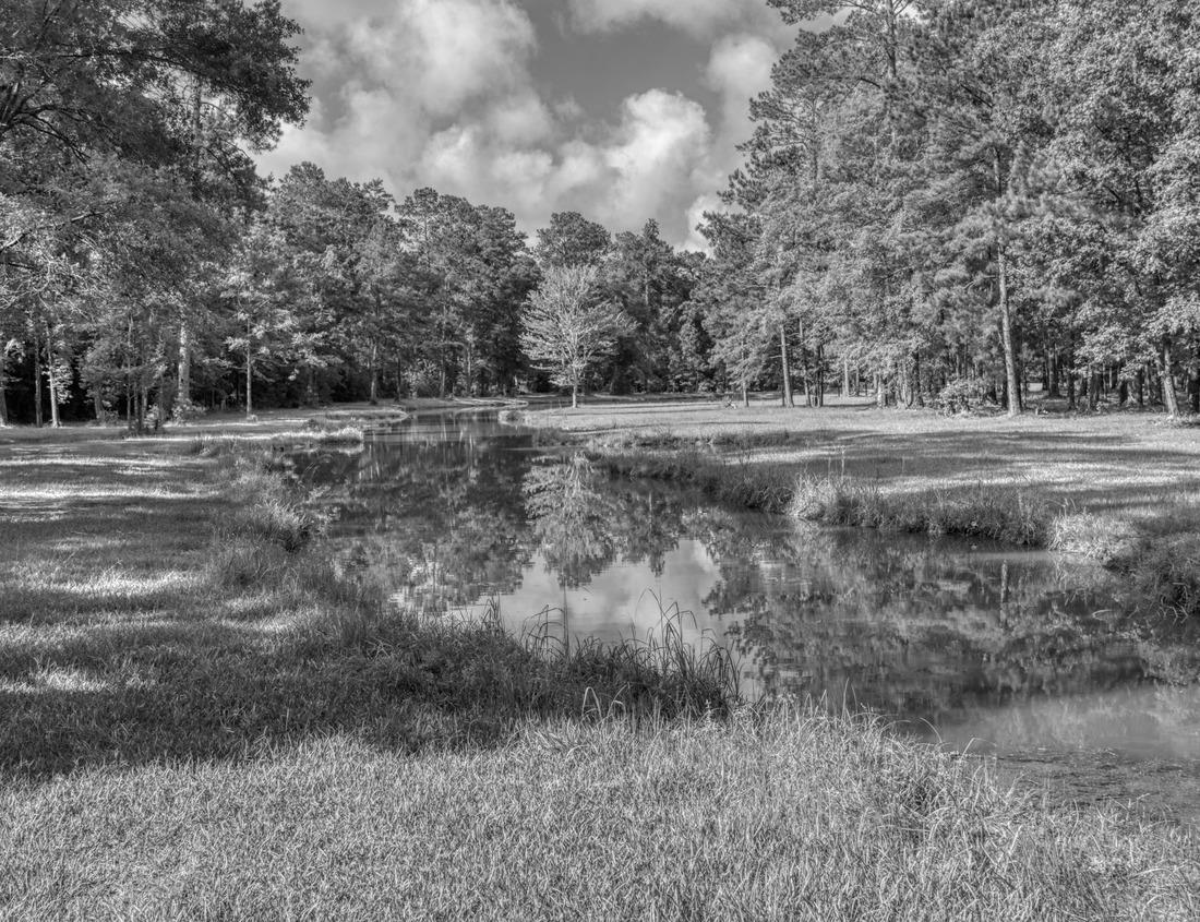 Noah Jigsaw Puzzle Old courthouse in Pekin, Tazewell County, Illinois, United States in black white 1000 pieces