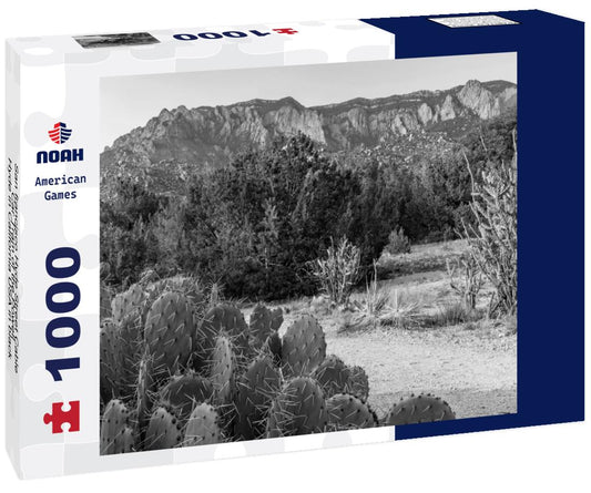 Noah Jigsaw Puzzle San francisco Hyde Street Cable Car Tram of the Powell-Hyde in California USA in black white 1000 pieces