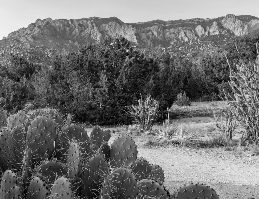 Noah Jigsaw Puzzle San francisco Hyde Street Cable Car Tram of the Powell-Hyde in California USA in black white 1000 pieces