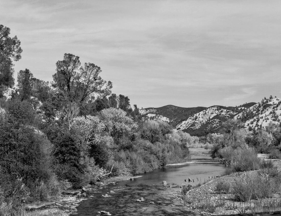 Noah Jigsaw Puzzle Houseboats and barges in a canal in Zwolle, Netherlands in black white 1000 pieces