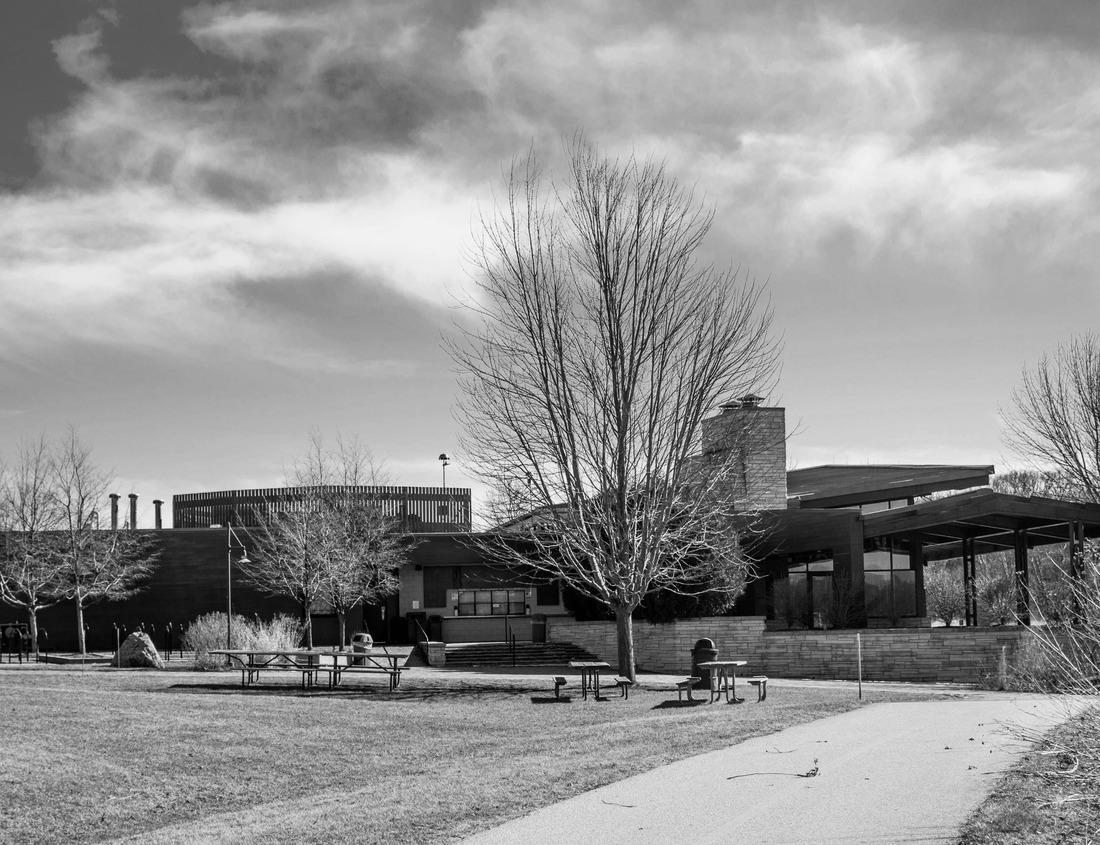 Noah Jigsaw Puzzle Sunrise in the Idaho mountains and beaver dam in black white 1000 pieces