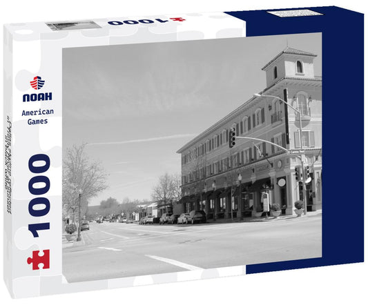 Noah Jigsaw Puzzle Dallas skyline reflected in Trinity River at sunset in black white 1000 pieces