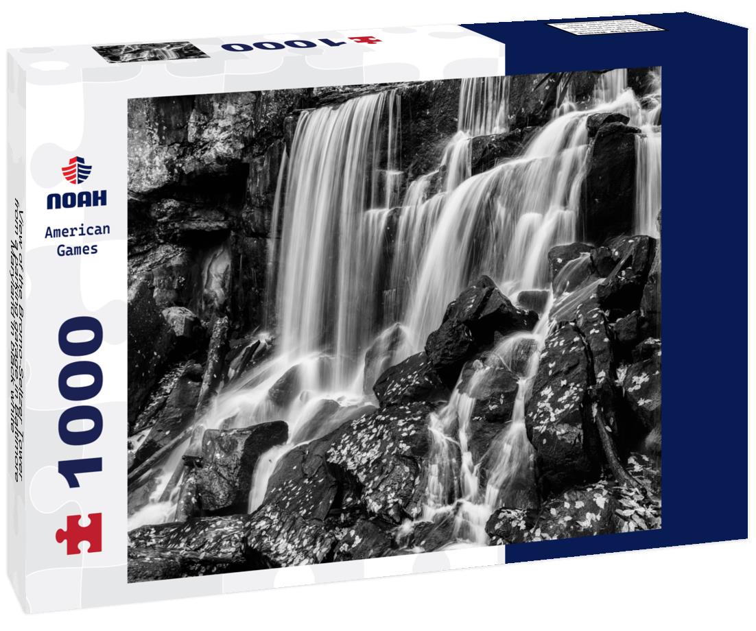 the Bromo-Seltzer Tower from a parking garage in Baltimore, Maryland 1000pc PuzzleBlack and White