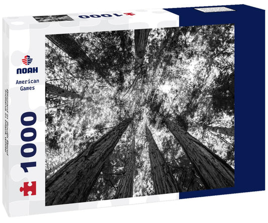 Noah Jigsaw Puzzle Blizzard in South Bend, Indiana in black white 1000 pieces