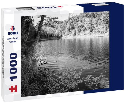 Noah Jigsaw Puzzle Court House Buildings Orange Roofs Pacific Ocean Santa Barbara California in black white 1000 pieces