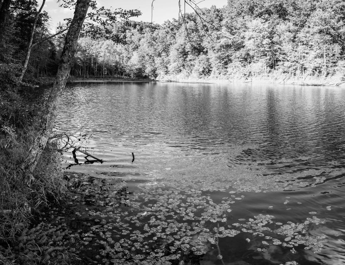 Noah Jigsaw Puzzle Court House Buildings Orange Roofs Pacific Ocean Santa Barbara California in black white 1000 pieces