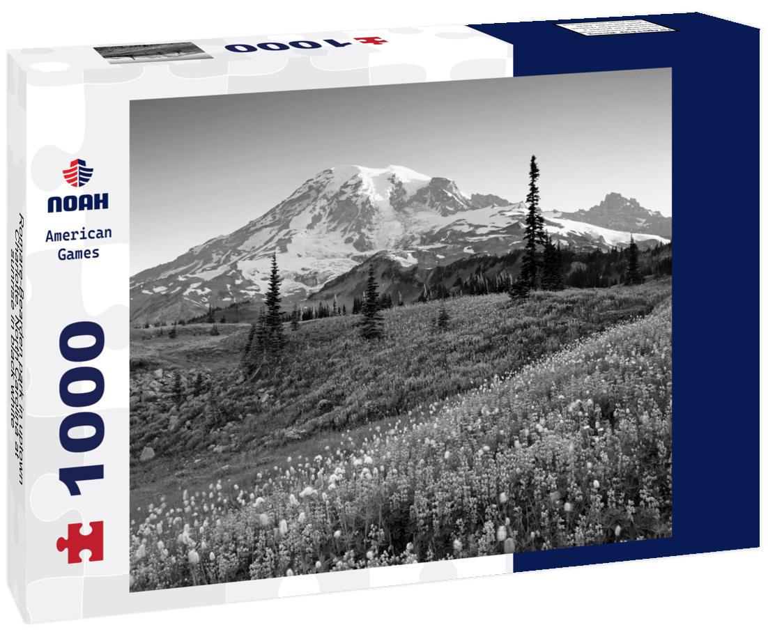 Noah Jigsaw Puzzle Romare-Bearden park in uptown Charlotte, North Carolina at sunrise in black white 1000 pieces