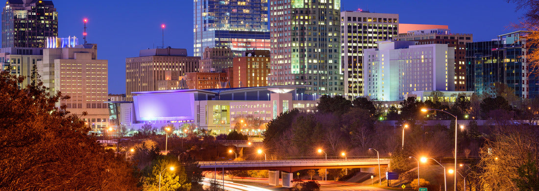Noah Jigsaw Puzzle Raleigh, North Carolina, USA downtown city skyline panorama 1000 pieces